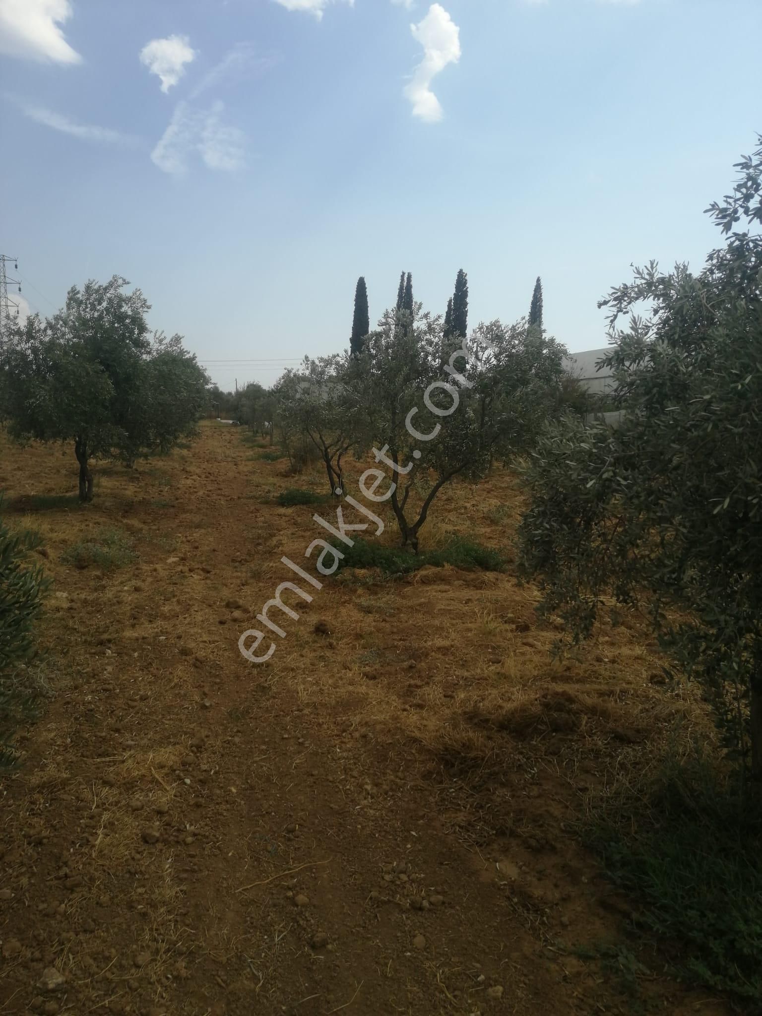 Menderes Turyap'tan Dereköy'de 3002 M² Tek Tapu Satılık Tarla - Görsel 17