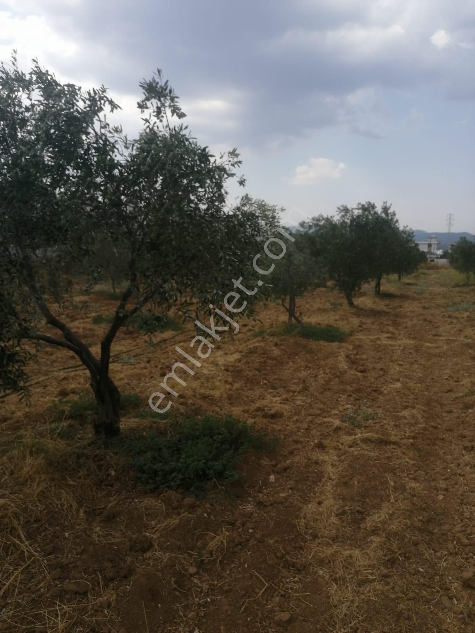 Menderes Turyap'tan Dereköy'de 3002 M² Tek Tapu Satılık Tarla - Görsel 14