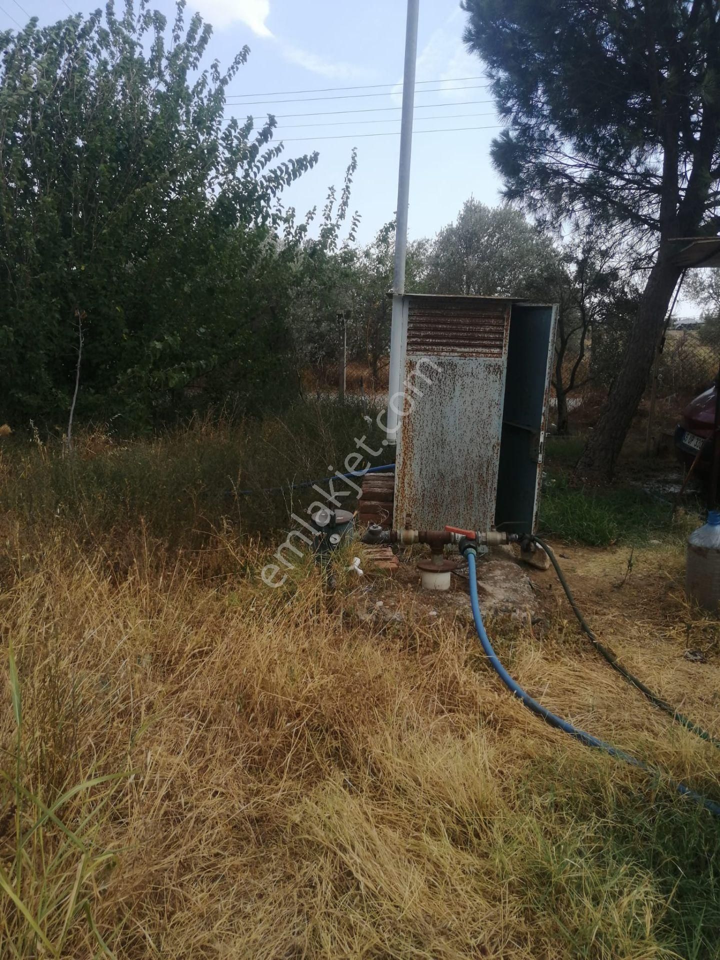 Menderes Turyap'tan Dereköy'de 3002 M² Tek Tapu Satılık Tarla - Görsel 4