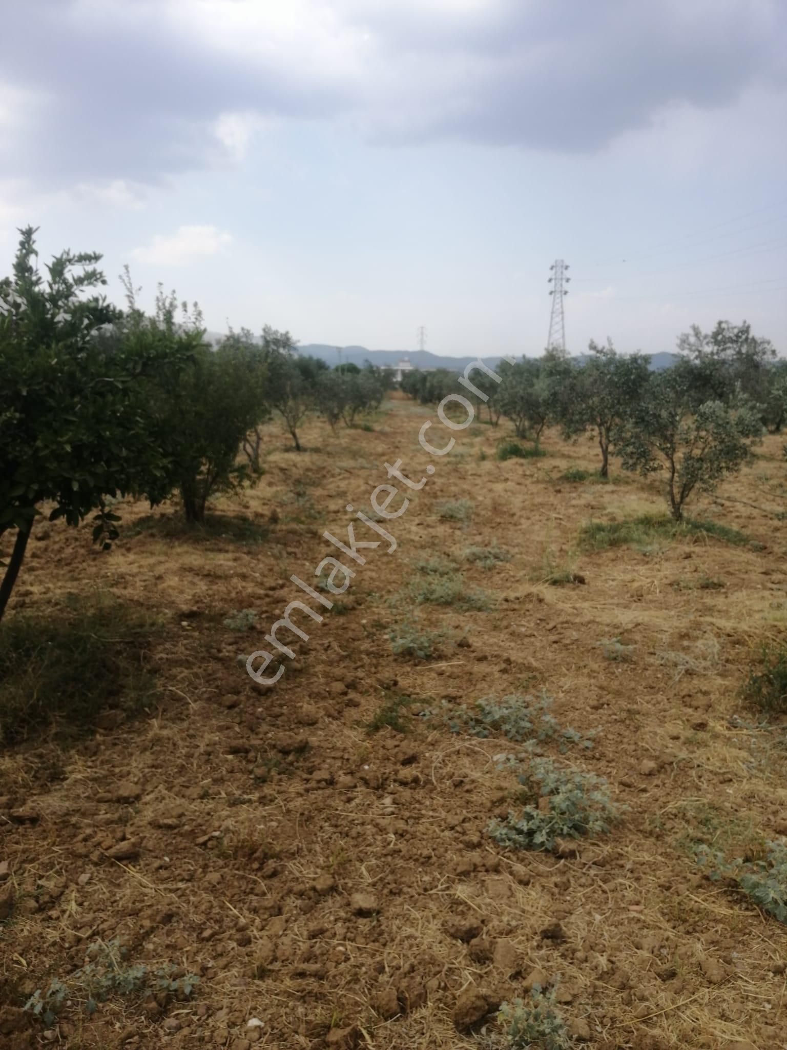 Menderes Turyap'tan Dereköy'de 3002 M² Tek Tapu Satılık Tarla - Görsel 11