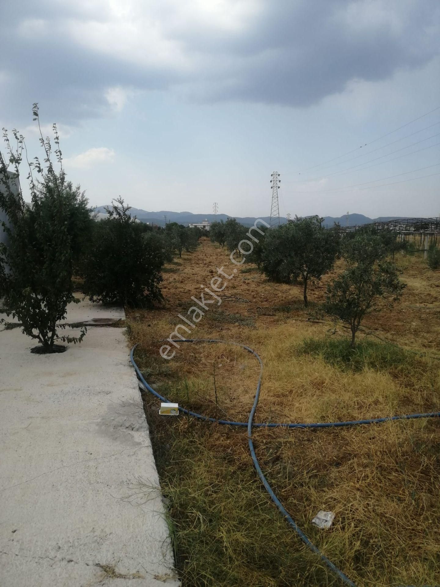 Menderes Turyap'tan Dereköy'de 3002 M² Tek Tapu Satılık Tarla - Görsel 8