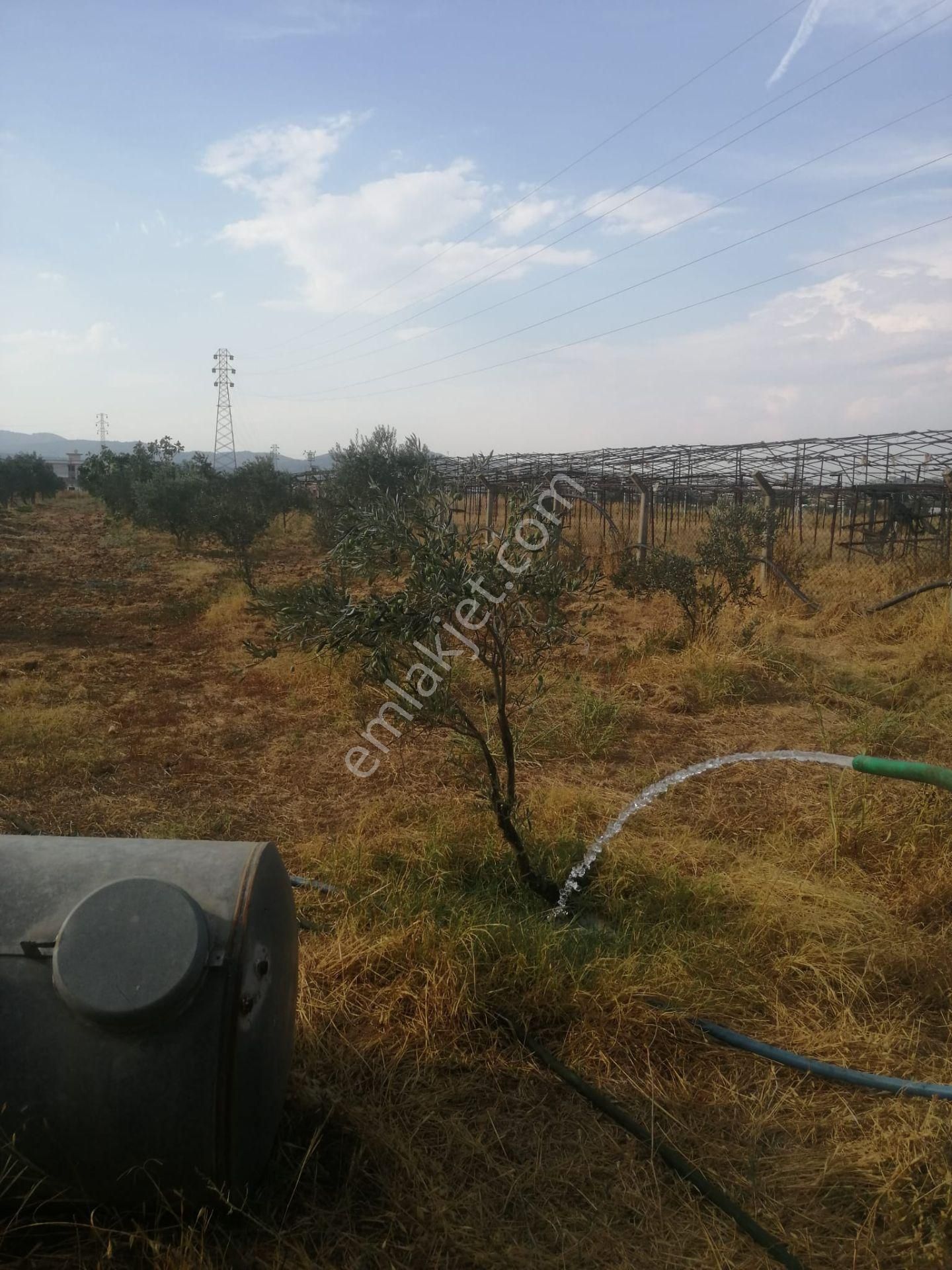 Menderes Turyap'tan Dereköy'de 3002 M² Tek Tapu Satılık Tarla - Görsel 27