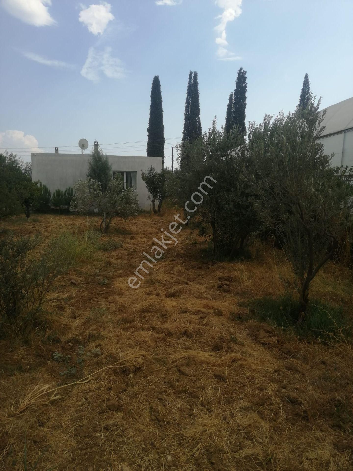 Menderes Turyap'tan Dereköy'de 3002 M² Tek Tapu Satılık Tarla - Görsel 20