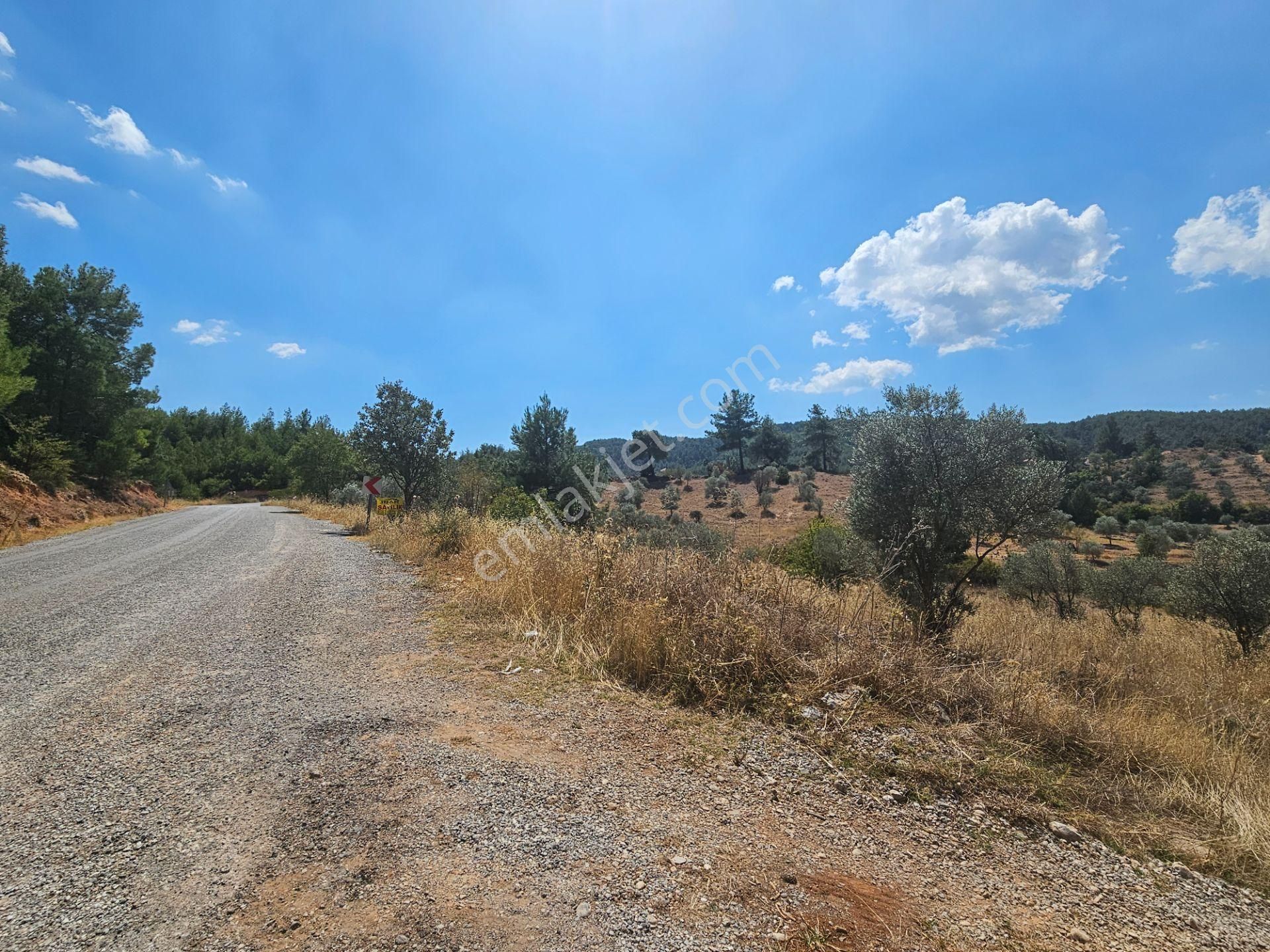 Menteşe Yenibağyaka Satılık Tarla Yenibağyaka Anayol Kenarında 7455 M2 Kuyulu Ağaçlı Tarla