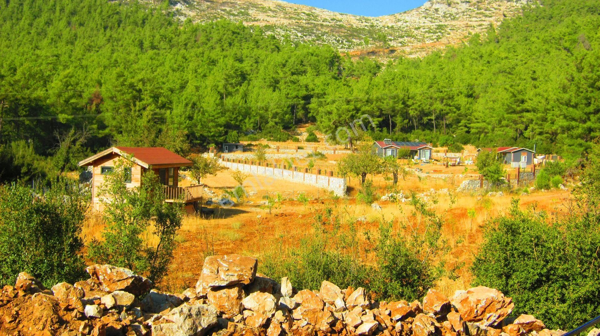 Milas Demirciler Satılık Tarla  Satılık Arsa , Yeşil Vadi de Çiftlik Yeri, Bodruma 31 km Plaja20