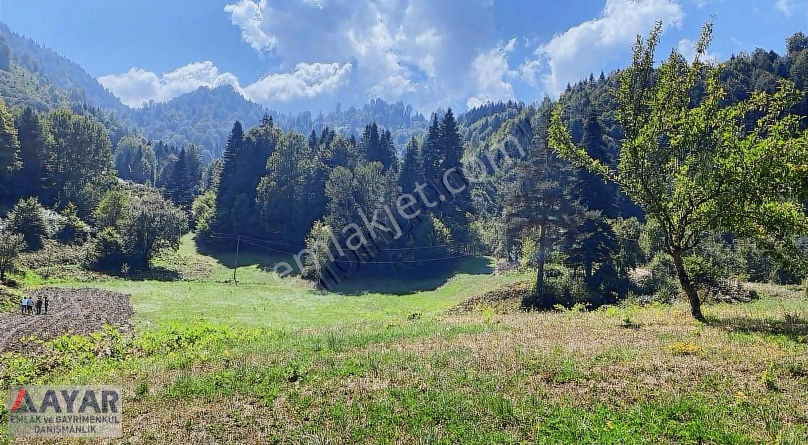 Hendek Yeniyayla Satılık Turizm İmarlı Ayar Emlaktan Muhteşem Doğa Güzelliğine Sahip Mükemmel Yer