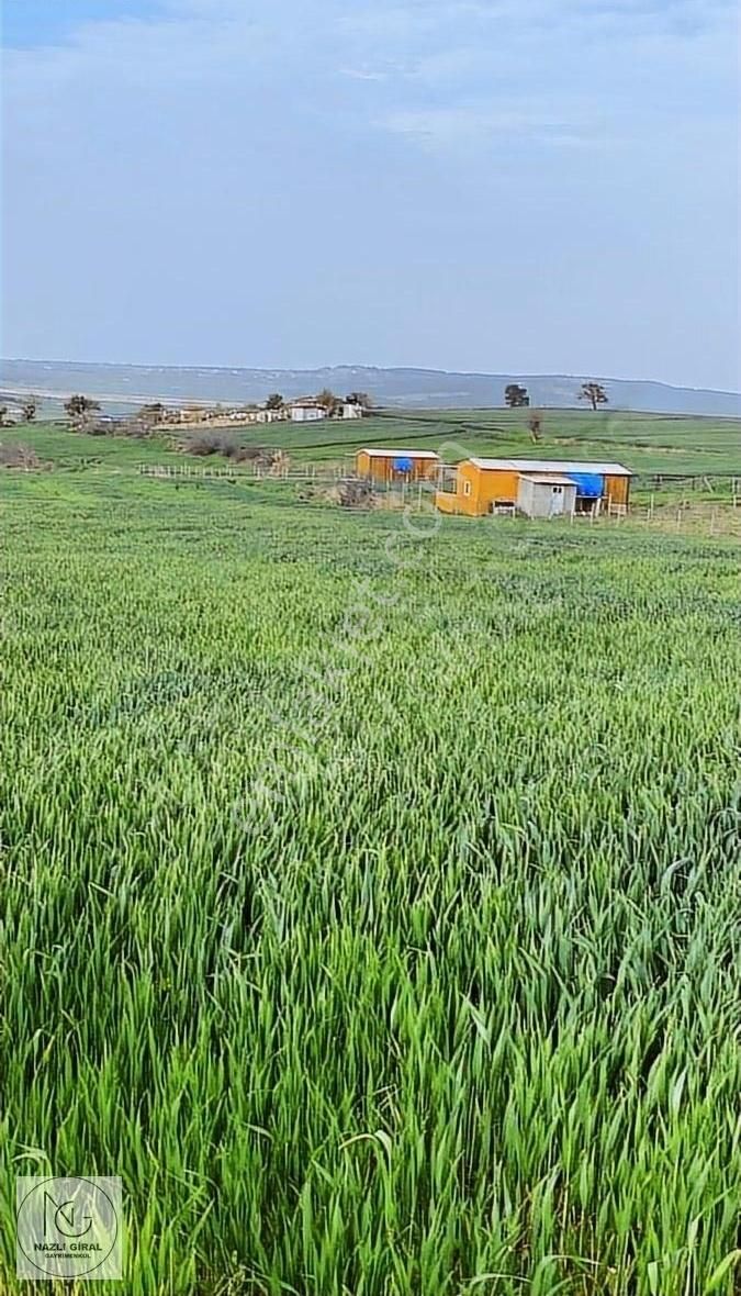 Keşan Mecidiye Köyü (Cumhuriyet) Satılık Tarla Keşan Erikli Mecidiye Köyünde Muhteşem Yatırımlık Tarla Fırsatı