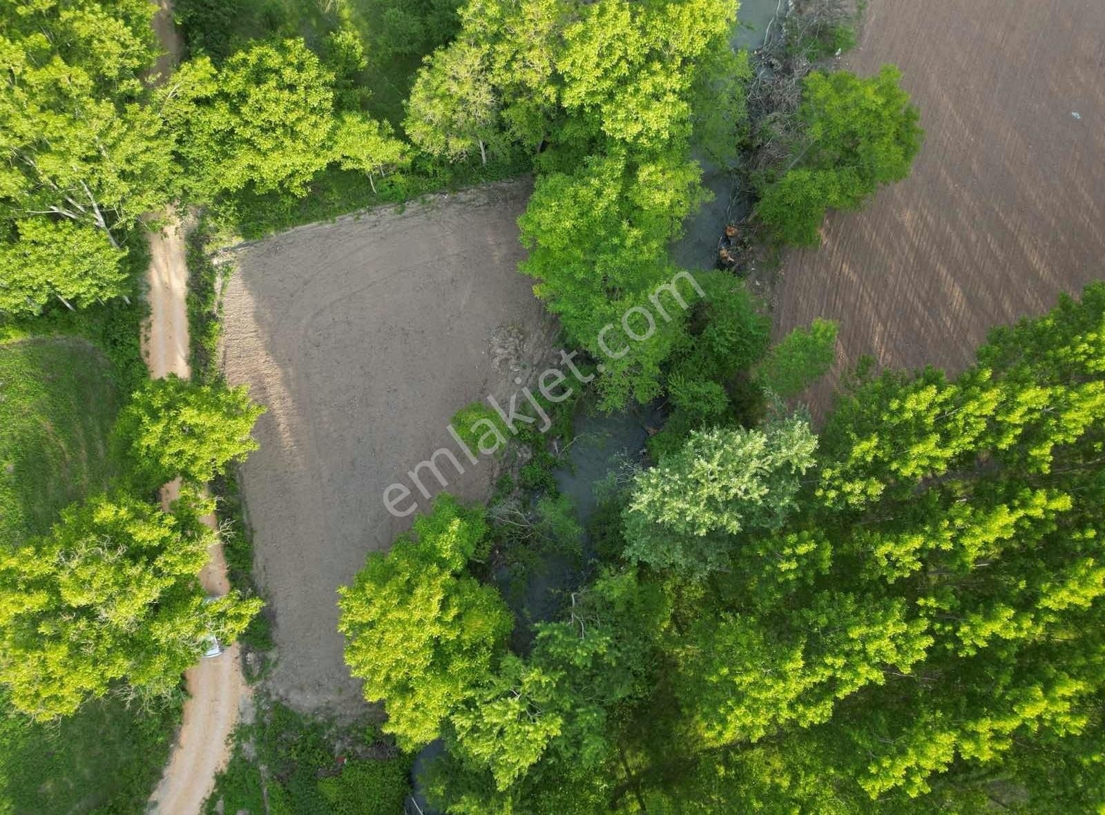 Taraklı Merkezde İmar Sınırında 1165 M2 Kupon Arazi - Görsel 2