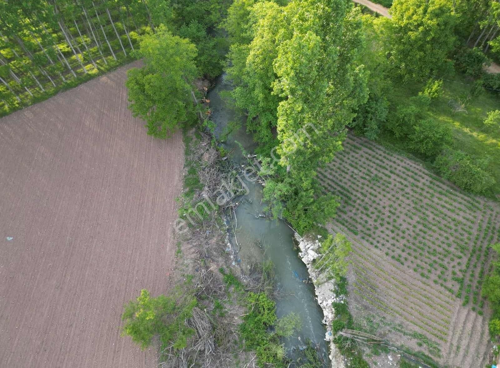 Taraklı Merkezde İmar Sınırında 1165 M2 Kupon Arazi - Görsel 13