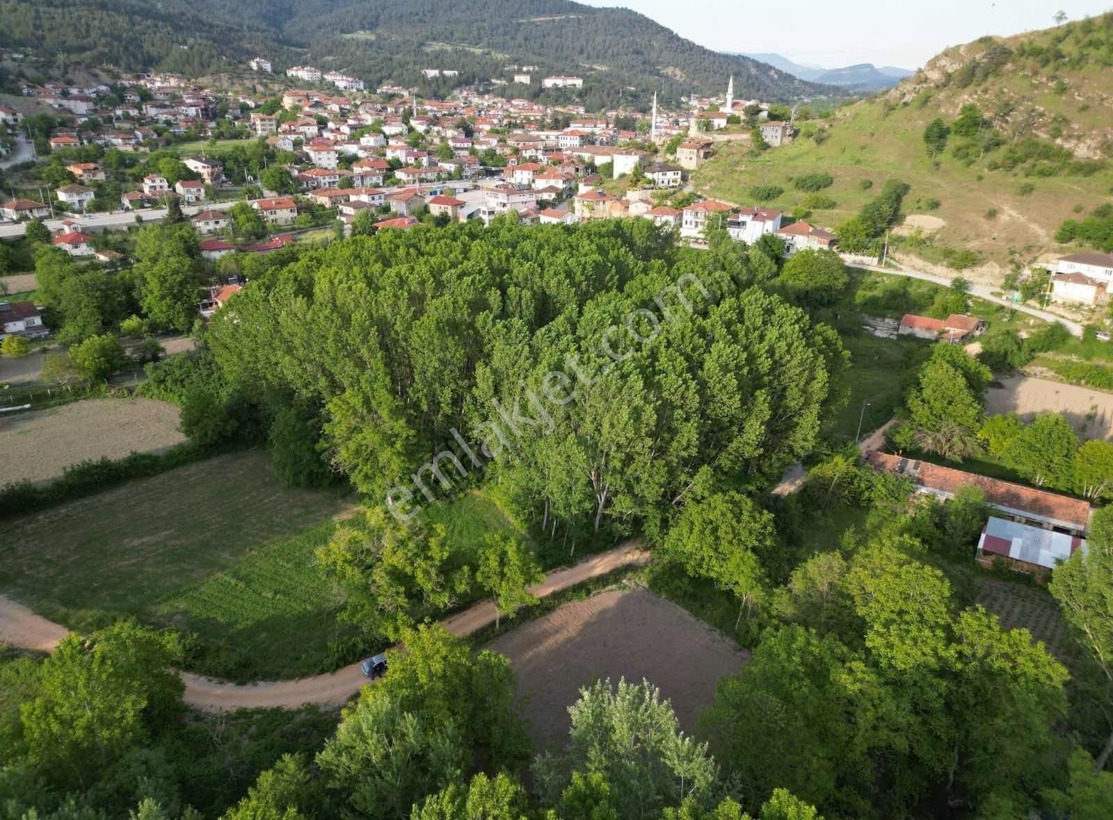Taraklı Merkezde İmar Sınırında 1165 M2 Kupon Arazi - Görsel 3