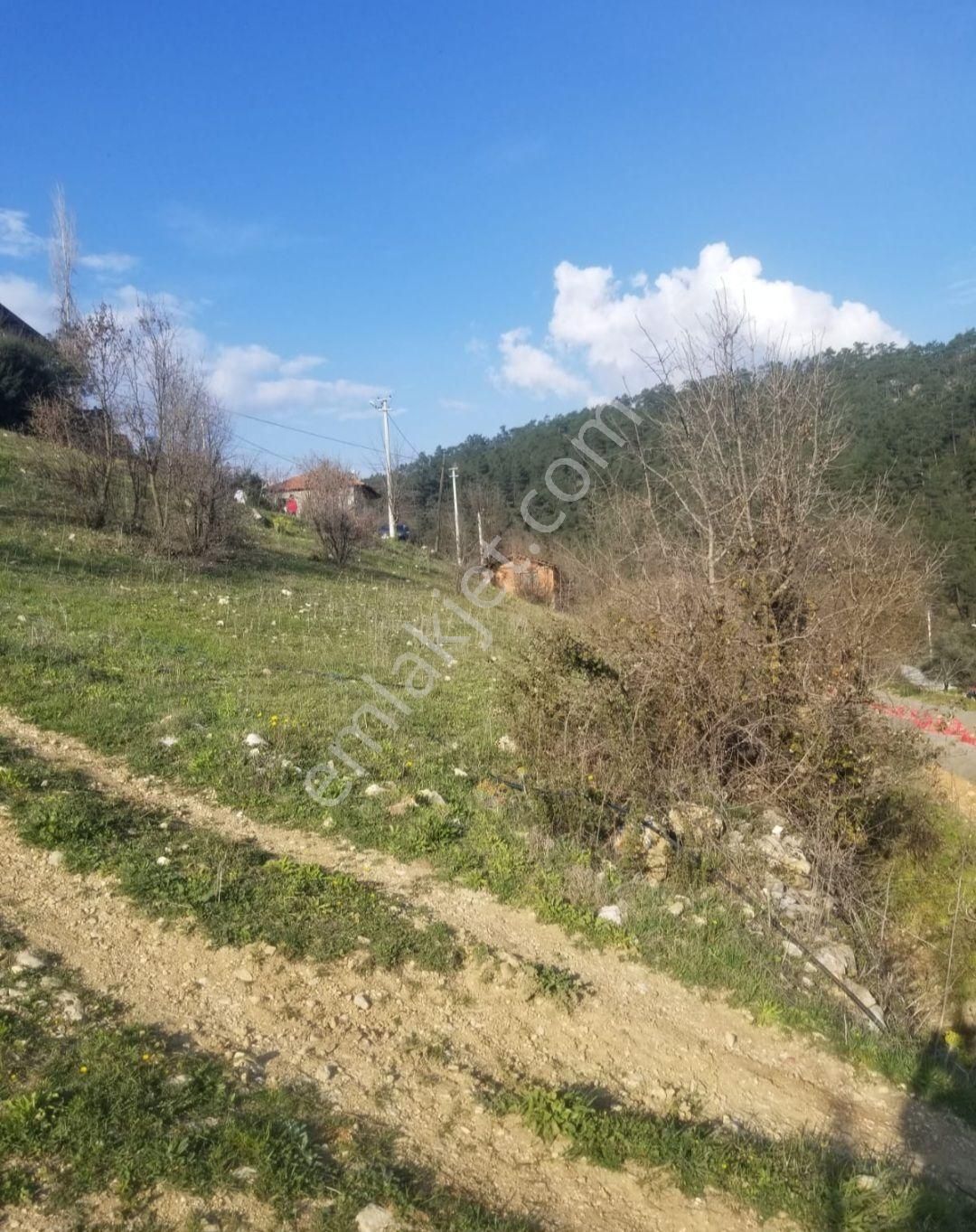 Muğla Menteşe Çamoluk Mah Satılık Köy Yerleşim Yeri Tarla