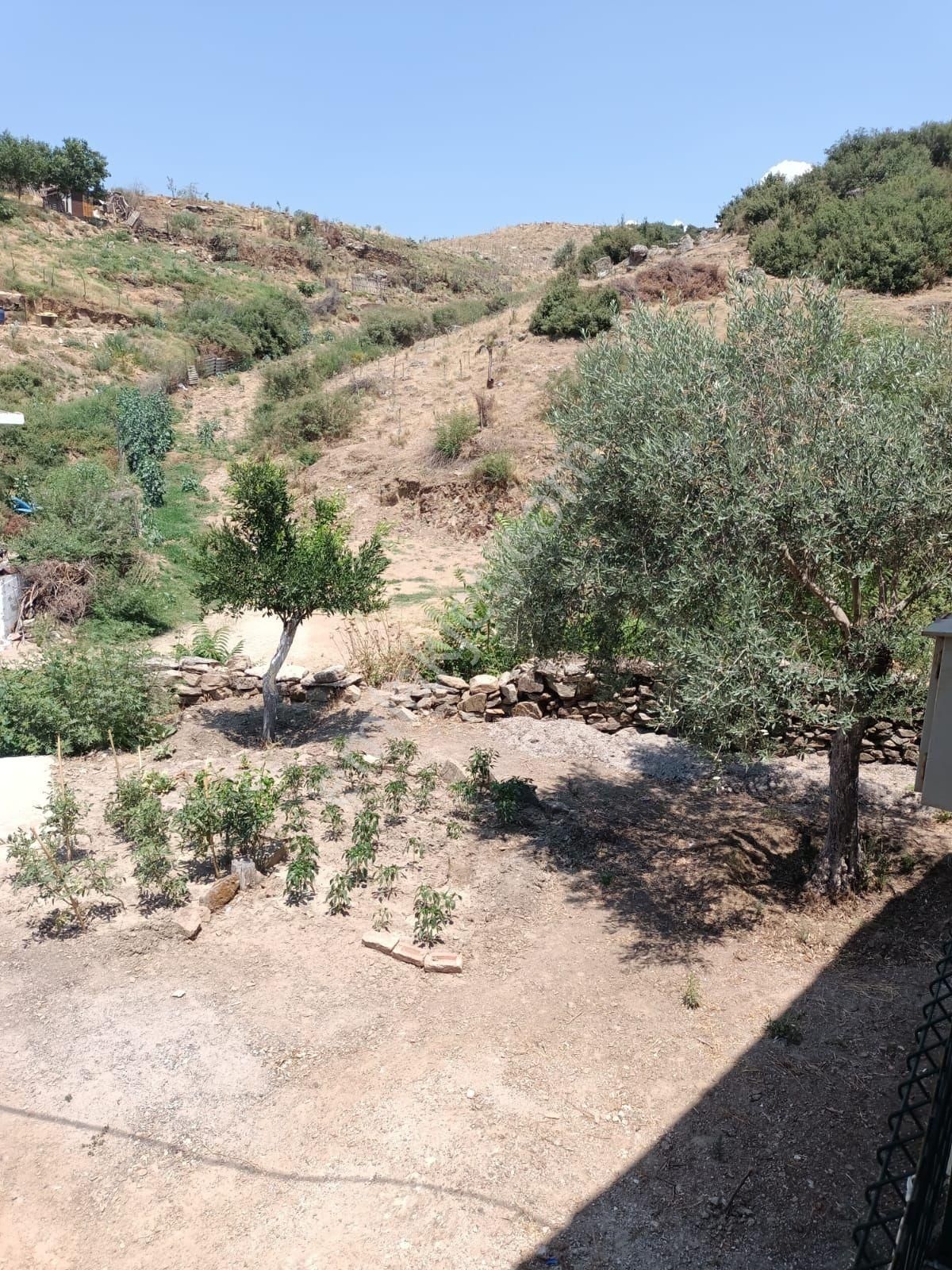 Aydın Koçarlı Kasaplar Mah. Özel Yapım Taş Evi Ve Geniş Bahçesi Bulunan Müstakil Evimiz Satılıktır - Görsel 19