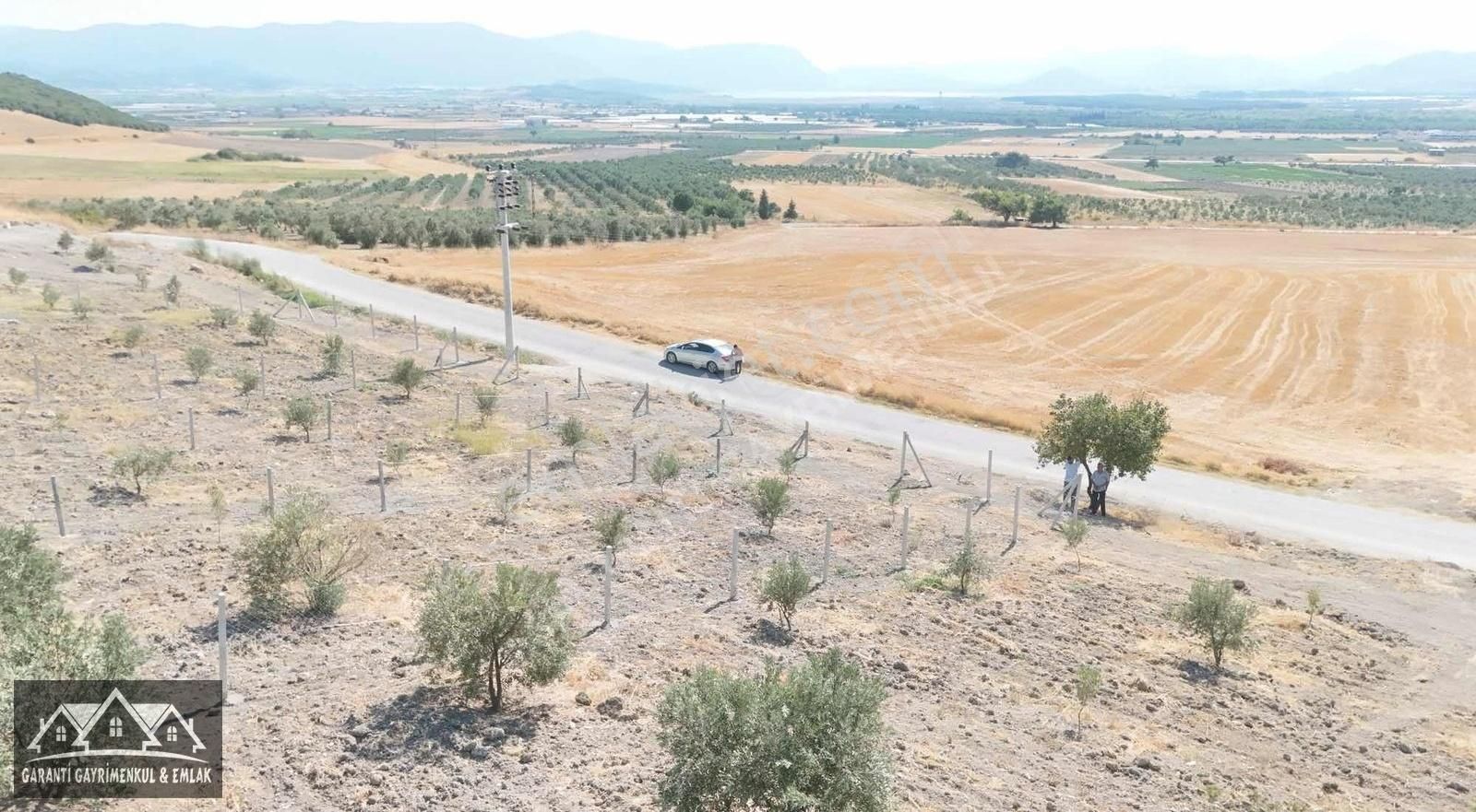 Menderes Tekeli Fevzi Çakmak Satılık Tarla GARANTİDEN TEKELİDE 330 M2 MUHTEŞEM MANZARALI ZEYTİNLİ SATILIK