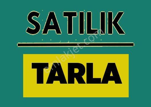 Tuşba Çitören Satılık Tarla  TUŞBA ÇİTÖREN'DE SATILIK 50 DÖNÜM TARLA