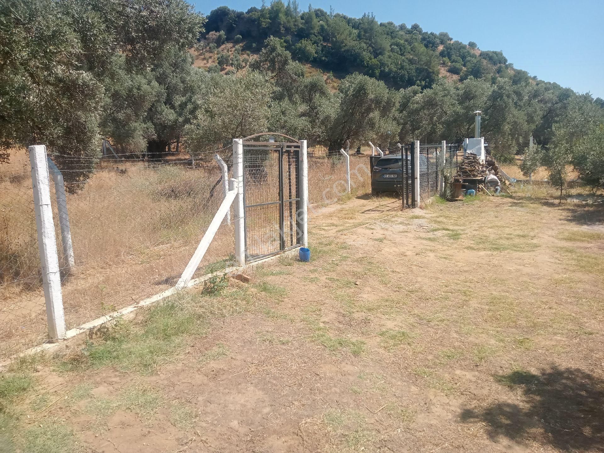 Kalfakoyde Hobi Bahcesi Satilik - Görsel 24