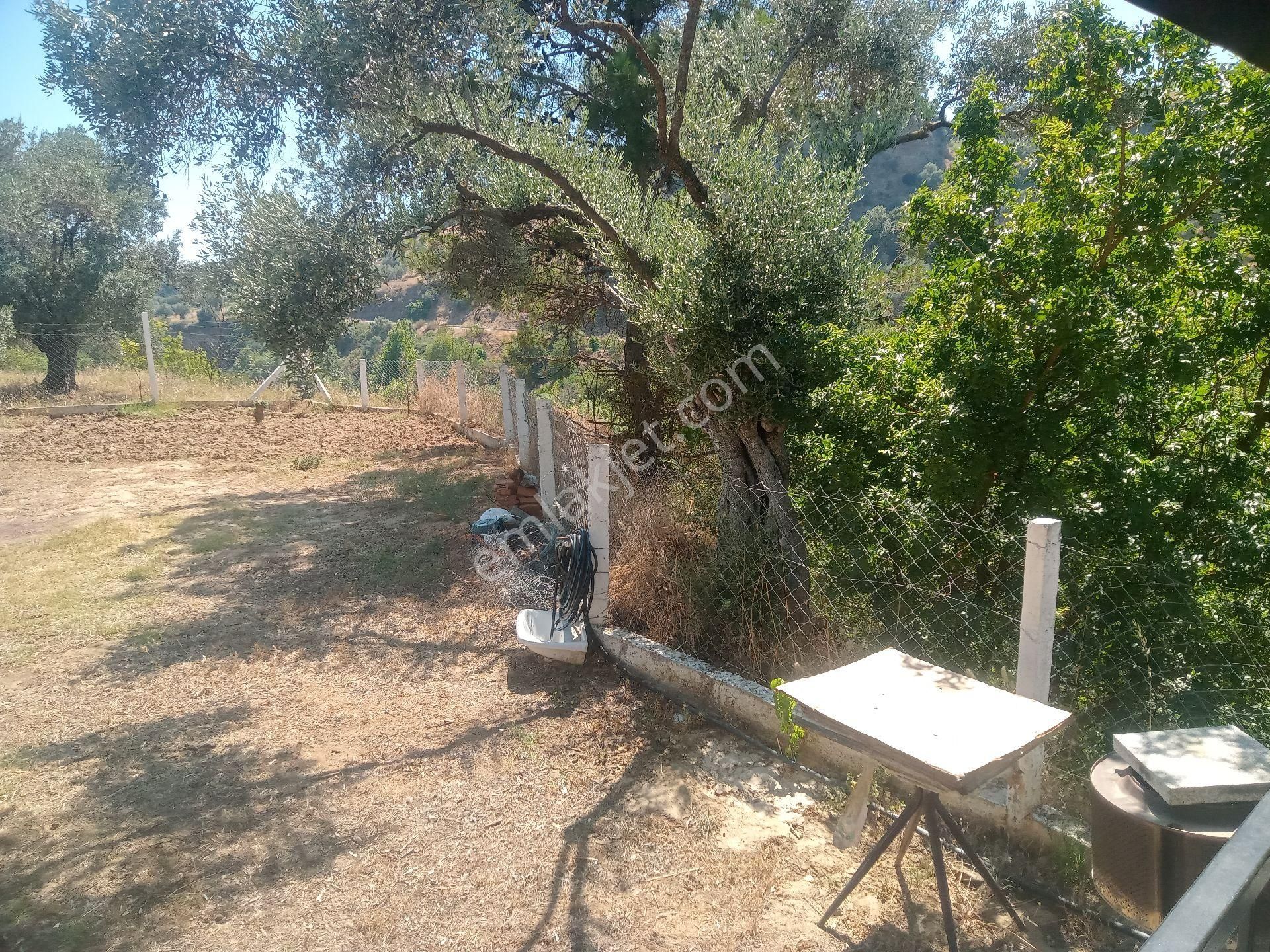 Kalfakoyde Hobi Bahcesi Satilik - Görsel 23