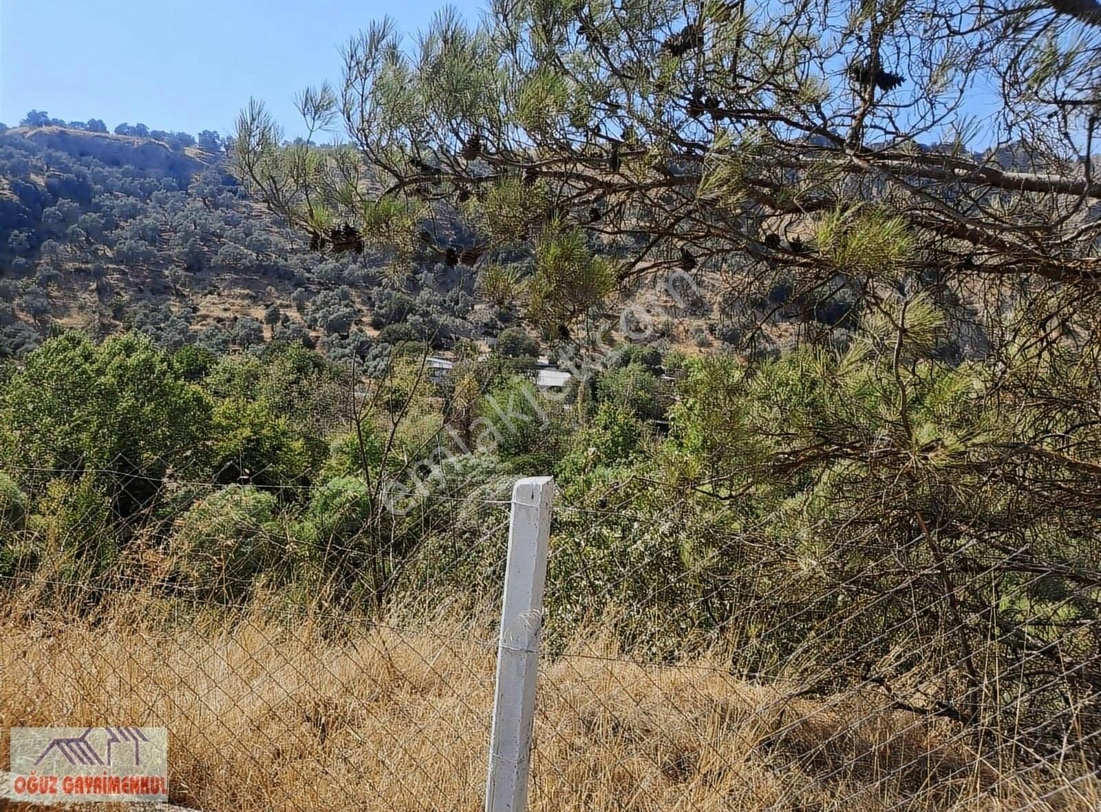 Kalfakoyde Hobi Bahcesi Satilik - Görsel 5