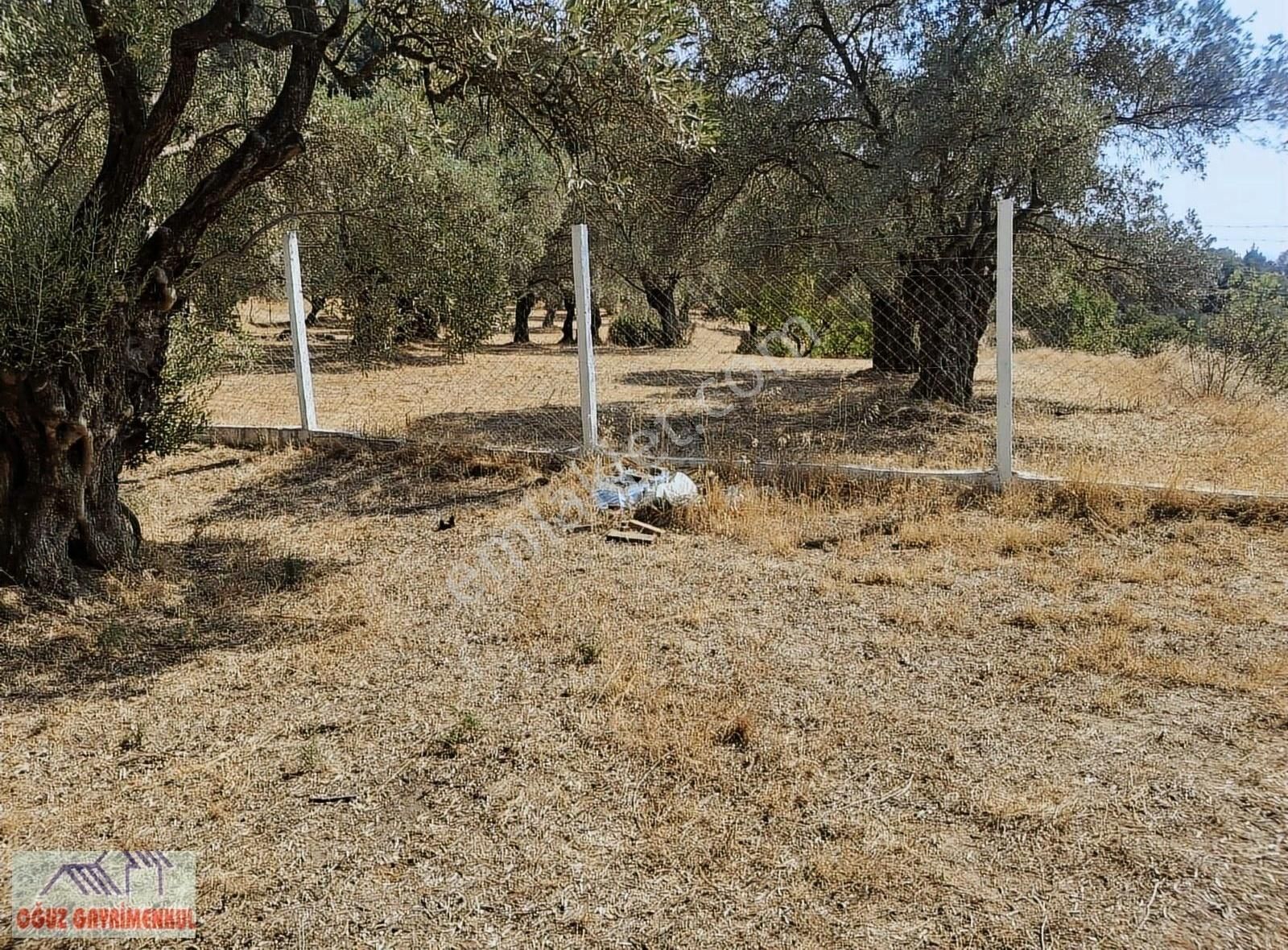 Kalfakoyde Hobi Bahcesi Satilik - Görsel 11