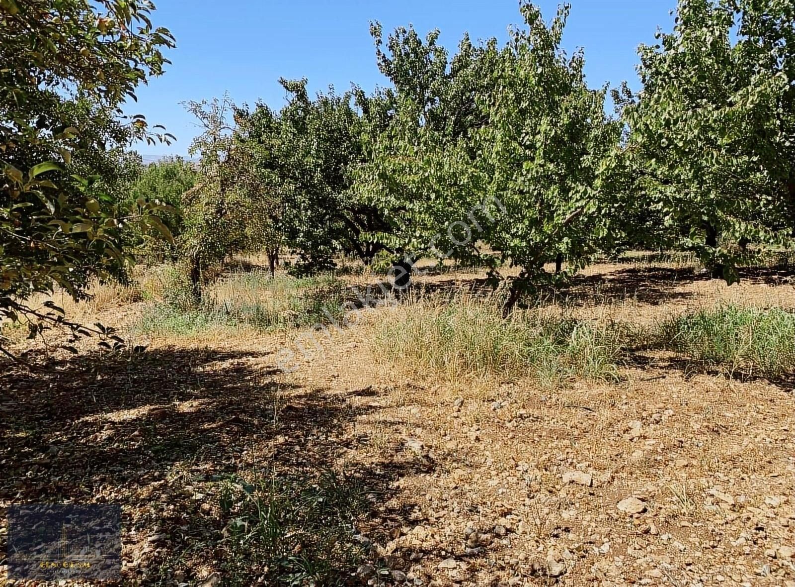 Yeşilyurt Kırlangıç Satılık Bağ & Bahçe MUHTEŞEM KONUMDA KURULU ARSA