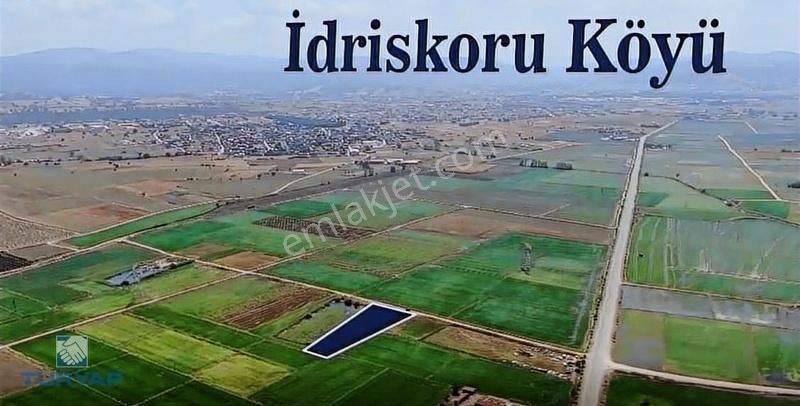 Biga İdriskoru Köyü (Küçükköy) Satılık Tarla ÇANAKKALE BİGA İDRİSKORU ANAYOLA SIFIR HARİKA FIRSAT TARLA