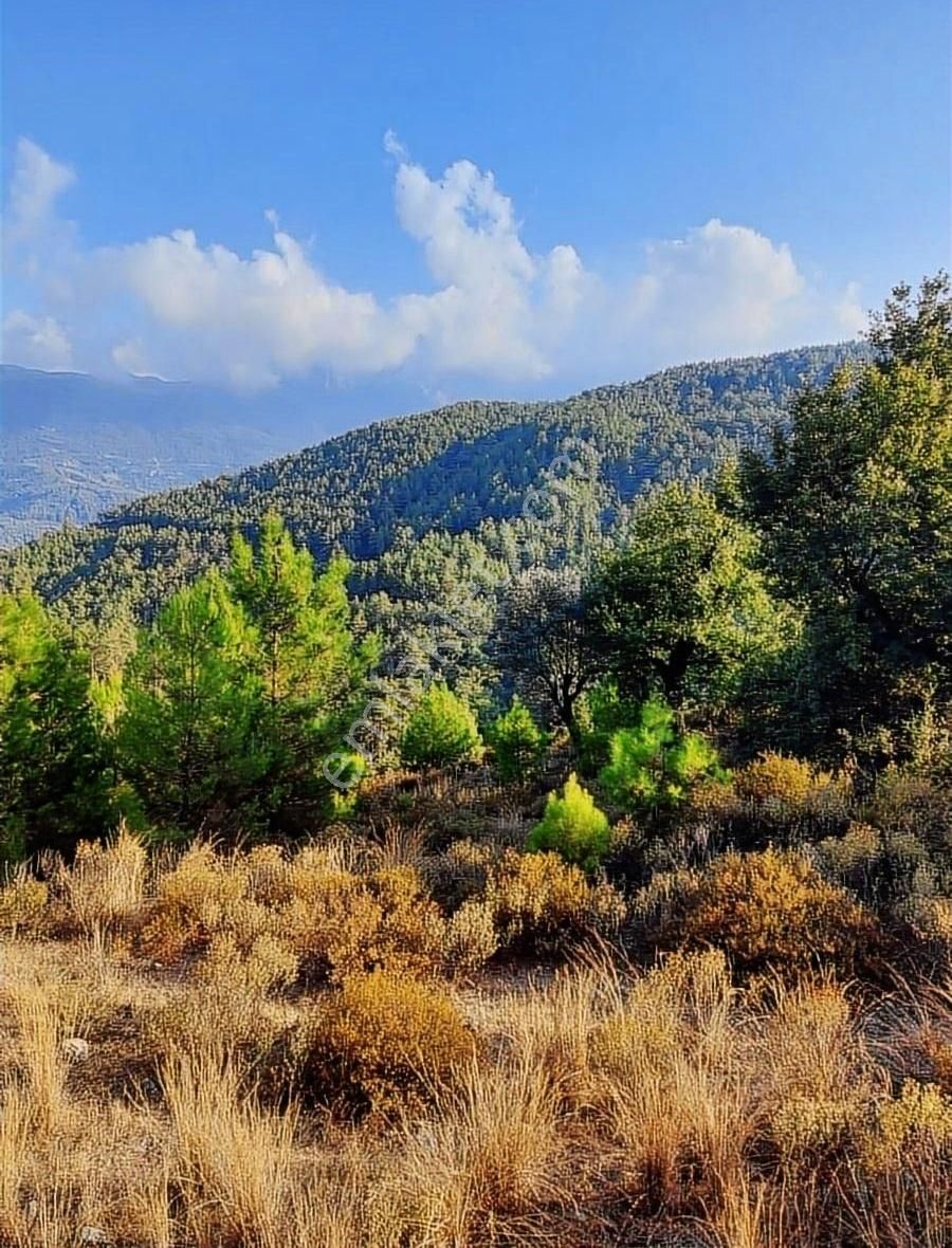 Alanya Üzümlü Satılık Tarla Alanya Üzümlü Mahallesi Satılık Tarla