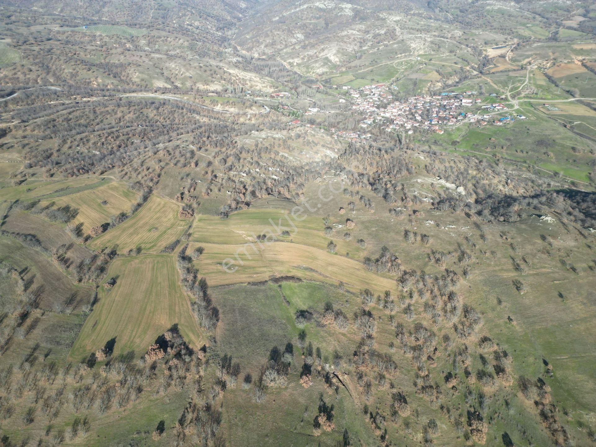 Kırklareli Merkez Kuzulu Köyü Satılık Tarla Kuzulu'da Satılık Merkeze Yakın Müstakil Arazi