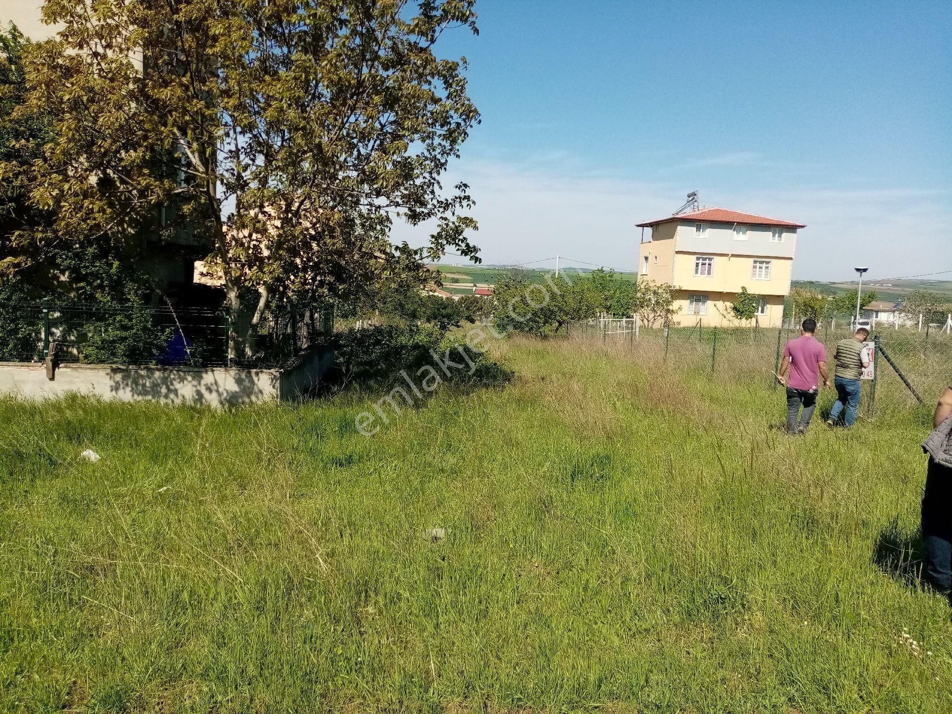 Tekirdağ Yenice
