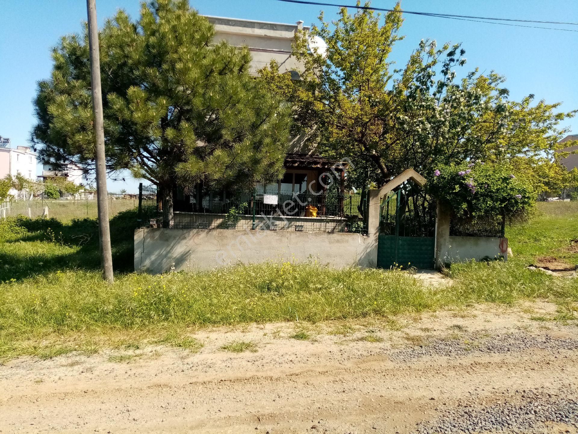 Tekirdağ Yenice - Görsel 9