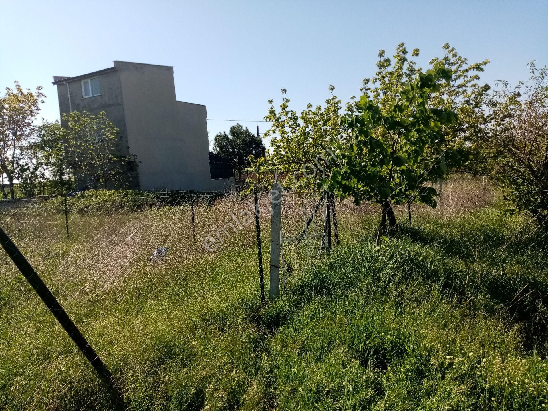 Tekirdağ Yenice - Görsel 11