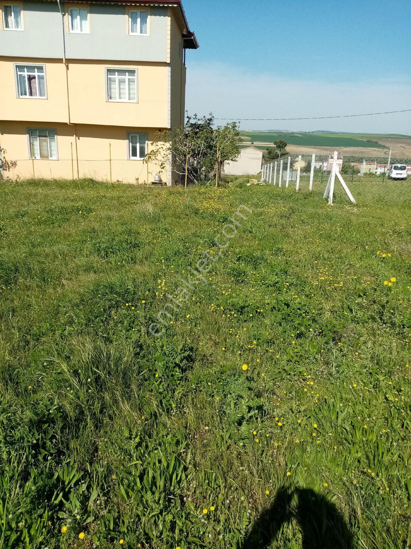 Tekirdağ Yenice - Görsel 7
