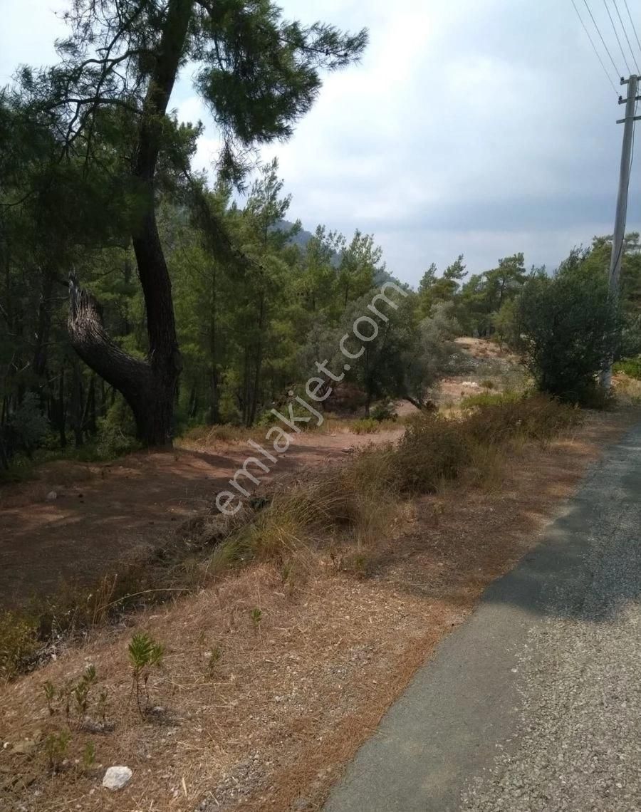 Muğla Fethiye Göcek Taşbaşı Köyünde Satılık 1289 Tarla - Görsel 3
