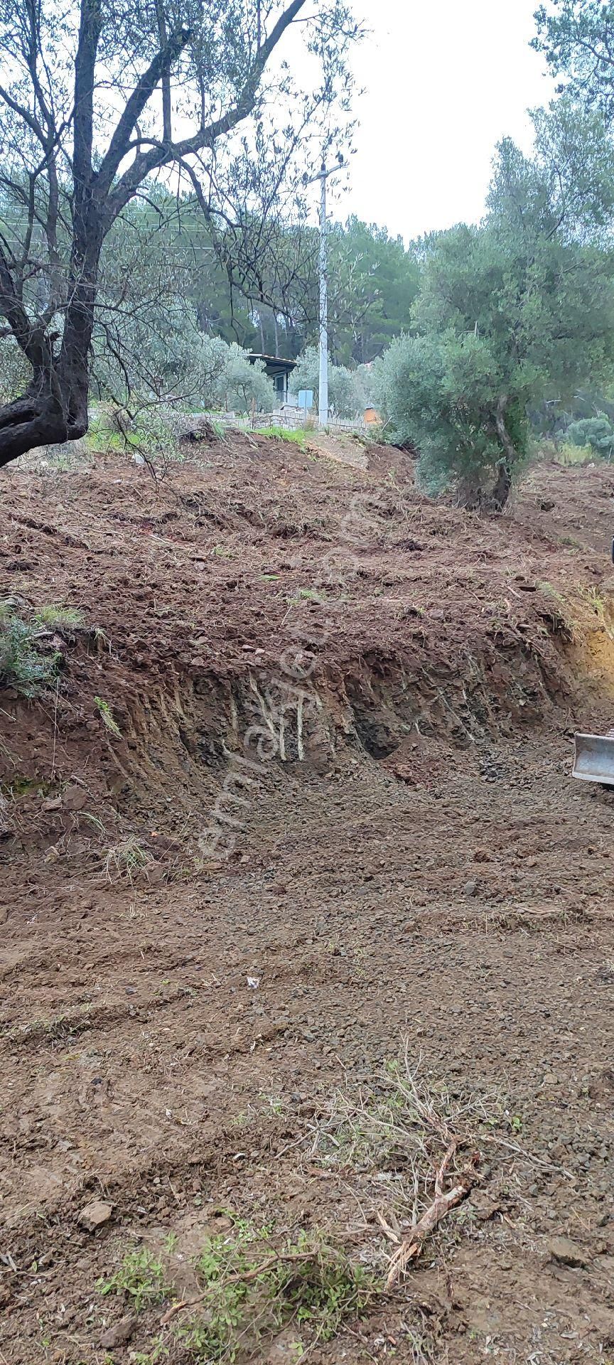 Muğla Fethiye Göcek Taşbaşı Köyünde Satılık 1289 Tarla - Görsel 5