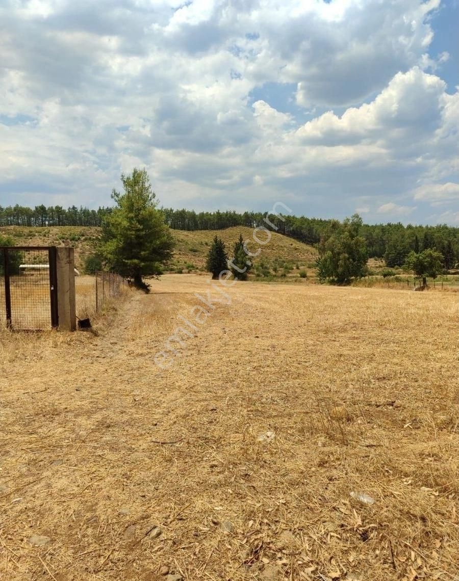 Ula Karabörtlen Satılık Tarla Muğla Ula karabörtlen'de Satılık 10.600 m Tarla