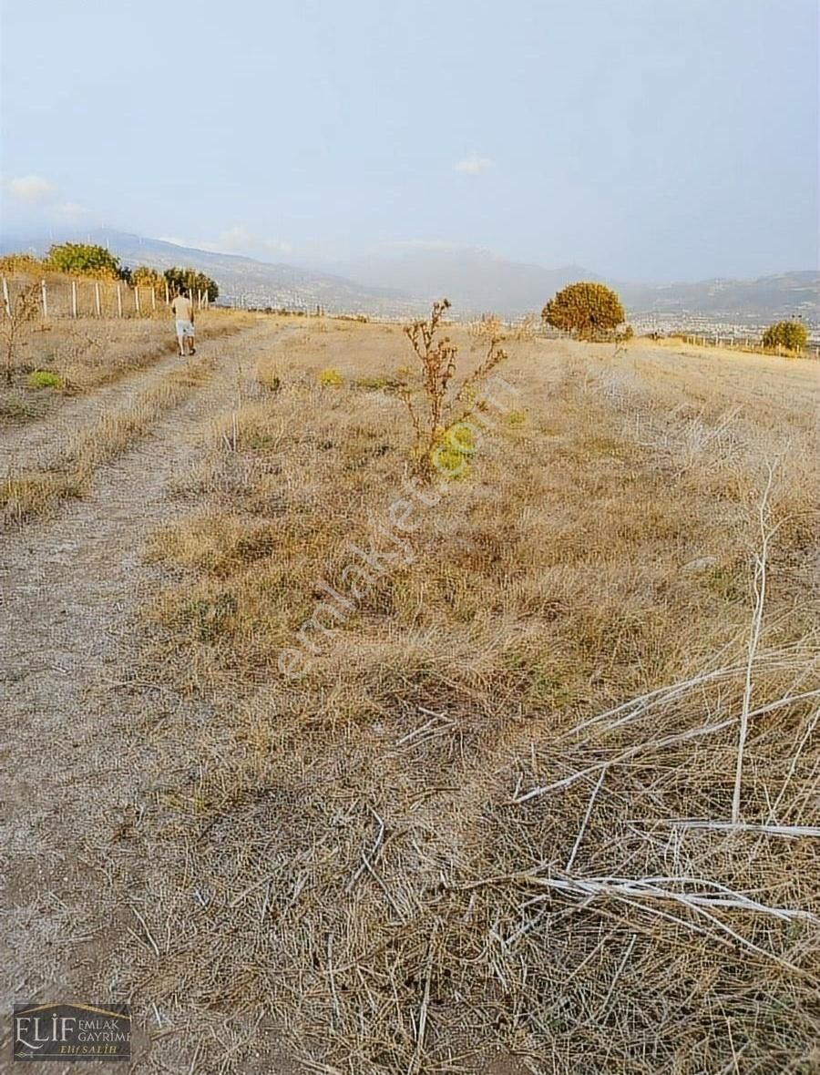 Pamukova Teşvikiye Satılık Tarla Pamukova teşvikiye mahalesi resmi yolu olan 1655mt ova manzaralı