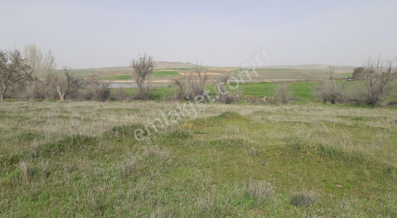 Melikgazi Ağırnas Satılık Bağ & Bahçe FIRSAT SATILIK BAHÇE. AĞIRNAS SARIMSAKLI BARAJI MANZARALI.