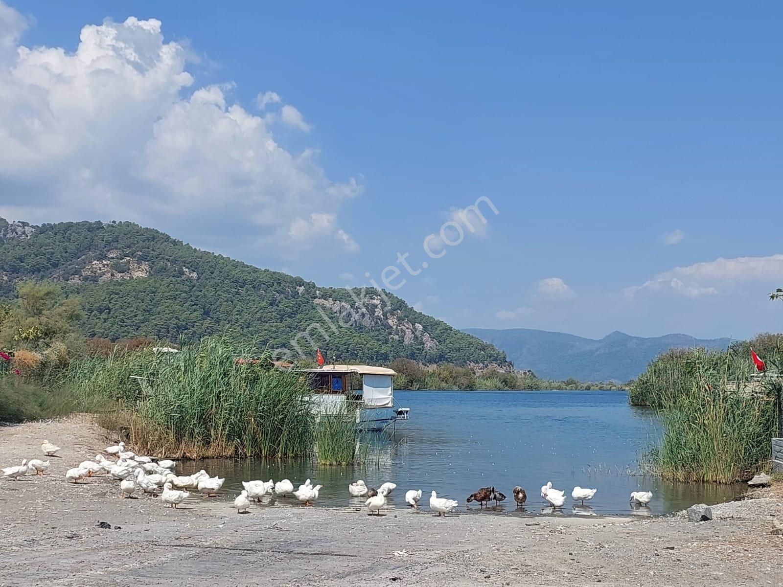 Ortaca Dalyan Satılık Arazi  Muğla Ortaca Dalyanda Kanala Yakın 7.353 m2 Müstakil Arazi Satılık