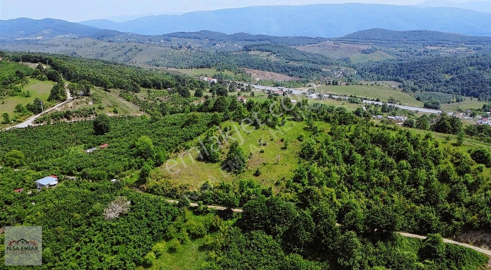 Hendek Güldibi Satılık Tarla Doğa Manzaralı Arsa