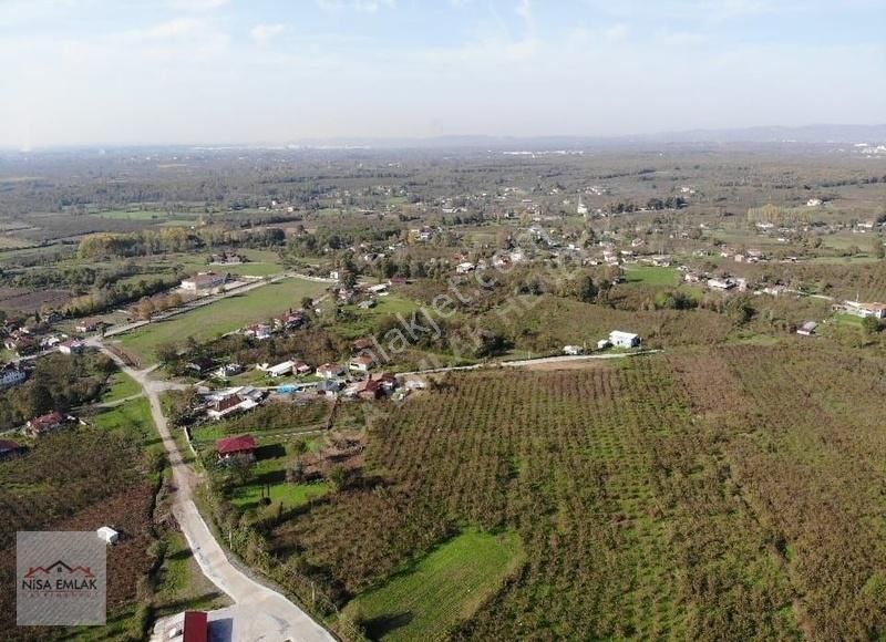 Sakarya Hendek Çamlıca Köyü Camili Mevkinde Satık Arsa - Görsel 19