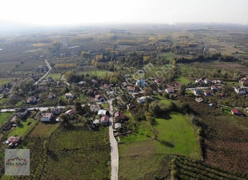 Sakarya Hendek Çamlıca Köyü Camili Mevkinde Satık Arsa - Görsel 15