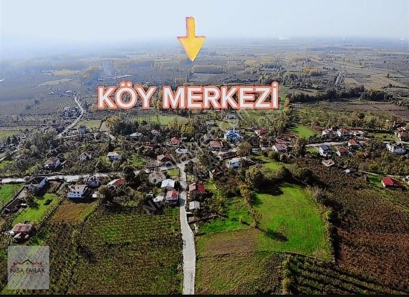 Sakarya Hendek Çamlıca Köyü Camili Mevkinde Satık Arsa - Görsel 9