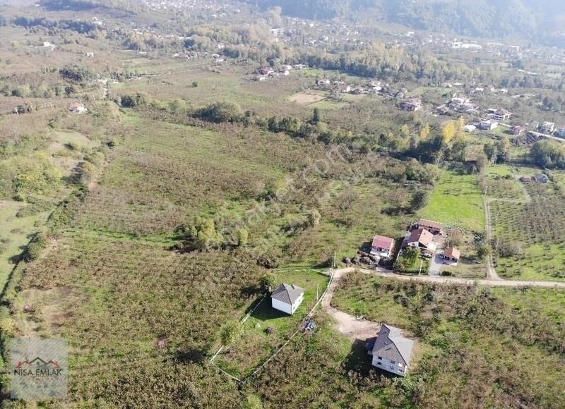 Sakarya Hendek Çamlıca Köyü Camili Mevkinde Satık Arsa - Görsel 7