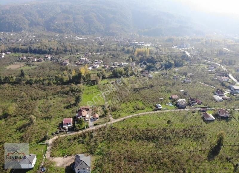 Sakarya Hendek Çamlıca Köyü Camili Mevkinde Satık Arsa - Görsel 13