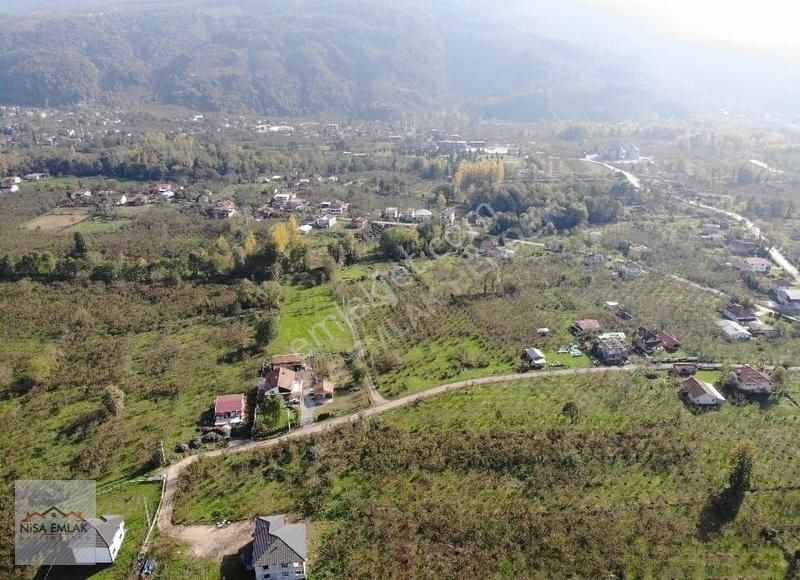 Sakarya Hendek Çamlıca Köyü Camili Mevkinde Satık Arsa - Görsel 11