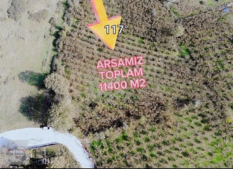 Sakarya Hendek Çamlıca Köyü Camili Mevkinde Satık Arsa - Görsel 16