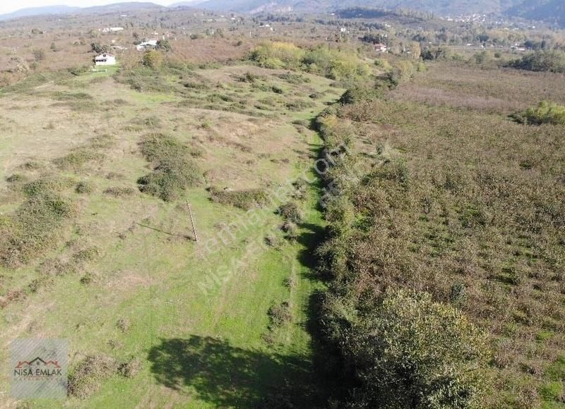 Sakarya Hendek Çamlıca Köyü Camili Mevkinde Satık Arsa - Görsel 3