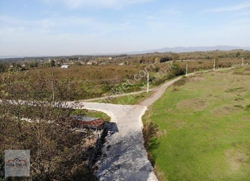 Sakarya Hendek Çamlıca Köyü Camili Mevkinde Satık Arsa - Görsel 6