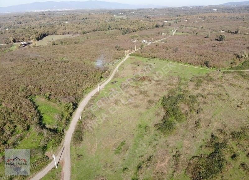 Sakarya Hendek Çamlıca Köyü Camili Mevkinde Satık Arsa - Görsel 20