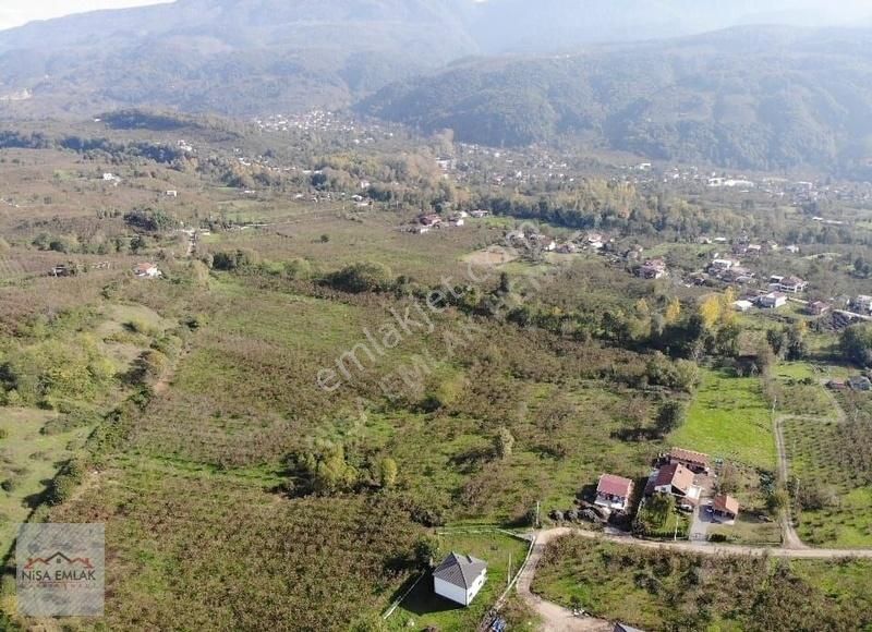 Sakarya Hendek Çamlıca Köyü Camili Mevkinde Satık Arsa - Görsel 4