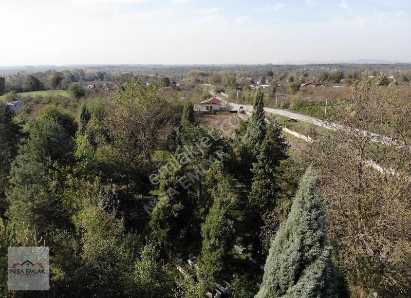 Sakarya Hendek Çamlıca Köyü Camili Mevkinde Satık Arsa - Görsel 10