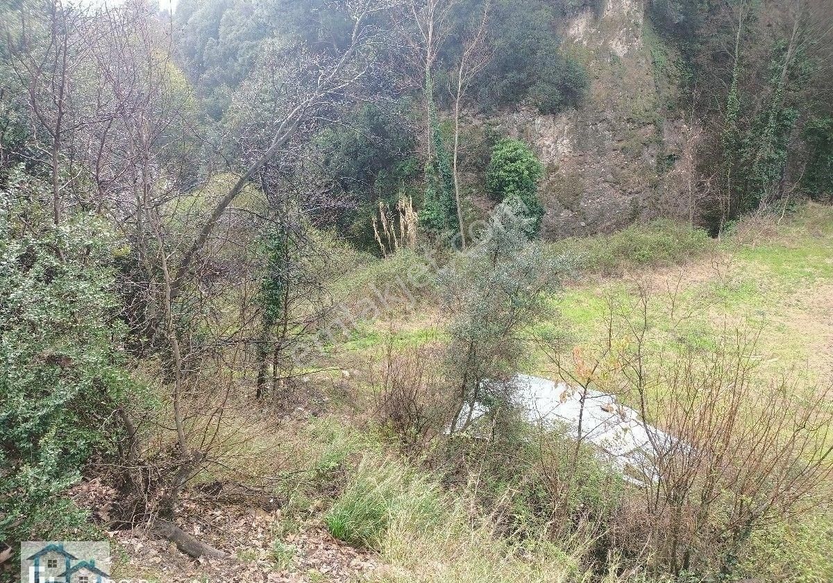 Efeler Aşağıkayacık Satılık Bağ & Bahçe Umurlu Aşağı Kayacikta yola sıfır satılık Arazi